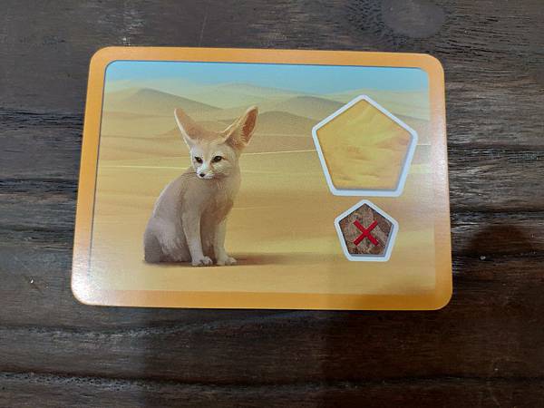 創世星球 Planet 繁體中文版 開箱及規則介紹 by 高