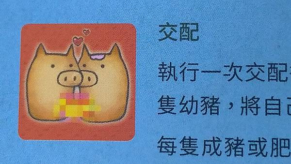 小小養豬趣 HAPPY PIGGYS 繁體中文版 開箱及規則