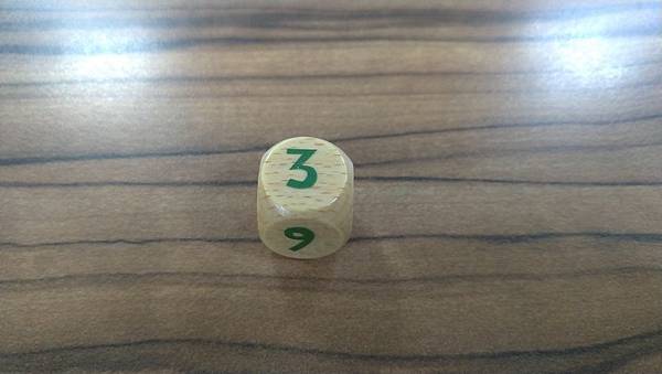 寶藏競逐 Race to the Treas 繁體中文版 開