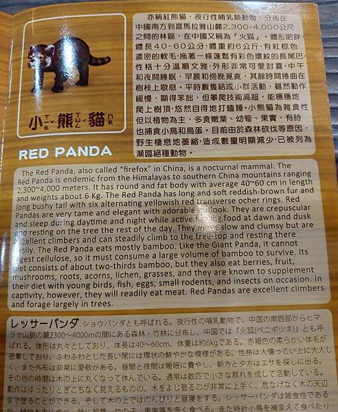 P_20200526_145426_1 P_20200526_145426_1