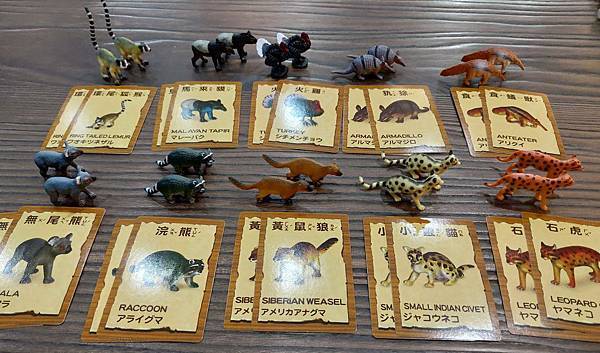 P_20200526_143255_1 P_20200526_143255_1