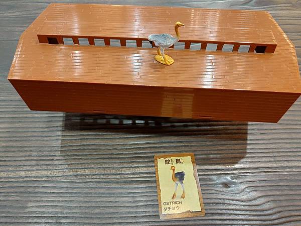 P_20200526_150317 P_20200526_150317