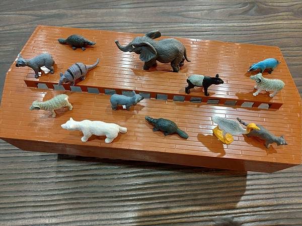 P_20200526_150910 P_20200526_150910