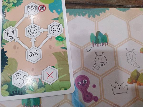 小小生態圈 ECO CIRCLE 繁體中文版 開箱及規則介紹 小小生態圈 ECO CIRCLE 繁體中文版 開箱及規則介紹