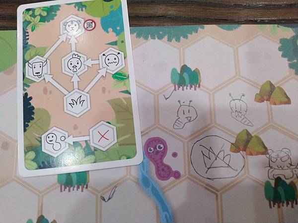 小小生態圈 ECO CIRCLE 繁體中文版 開箱及規則介紹 小小生態圈 ECO CIRCLE 繁體中文版 開箱及規則介紹