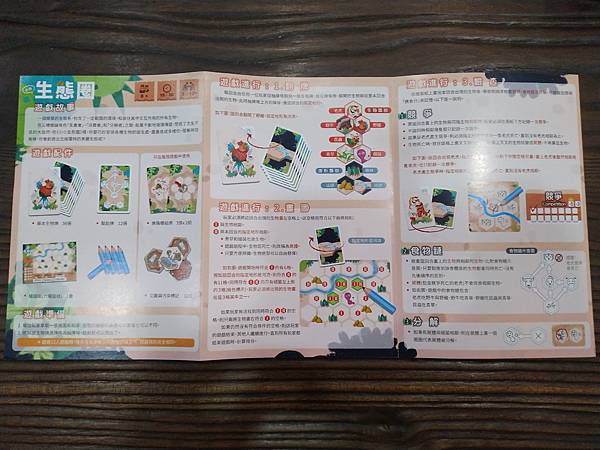 小小生態圈 ECO CIRCLE 繁體中文版 開箱及規則介紹 小小生態圈 ECO CIRCLE 繁體中文版 開箱及規則介紹