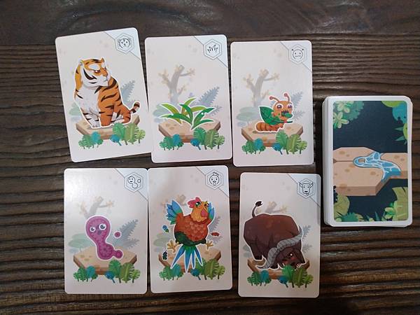 小小生態圈 ECO CIRCLE 繁體中文版 開箱及規則介紹 小小生態圈 ECO CIRCLE 繁體中文版 開箱及規則介紹