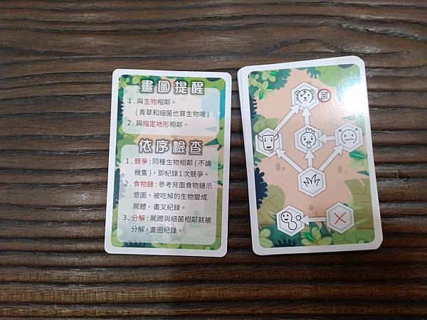 小小生態圈 ECO CIRCLE 繁體中文版 開箱及規則介紹 小小生態圈 ECO CIRCLE 繁體中文版 開箱及規則介紹