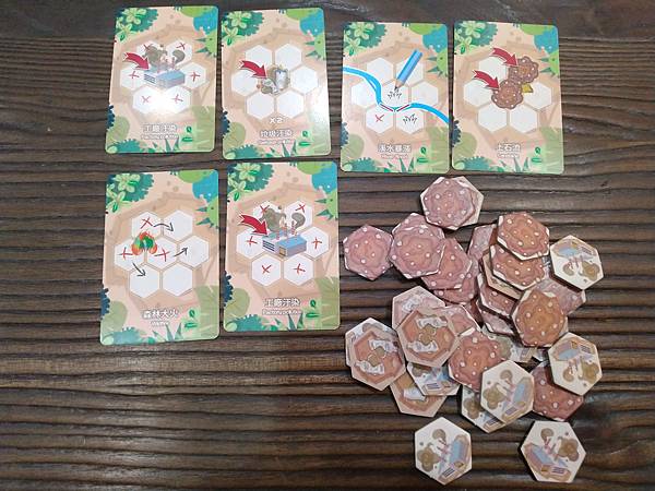 小小生態圈 ECO CIRCLE 繁體中文版 開箱及規則介紹 小小生態圈 ECO CIRCLE 繁體中文版 開箱及規則介紹