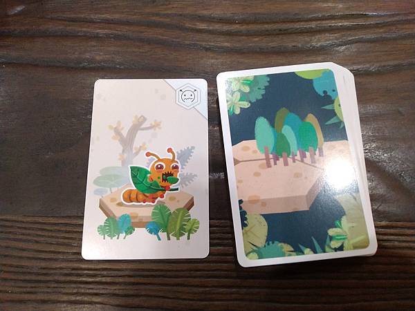 小小生態圈 ECO CIRCLE 繁體中文版 開箱及規則介紹 小小生態圈 ECO CIRCLE 繁體中文版 開箱及規則介紹