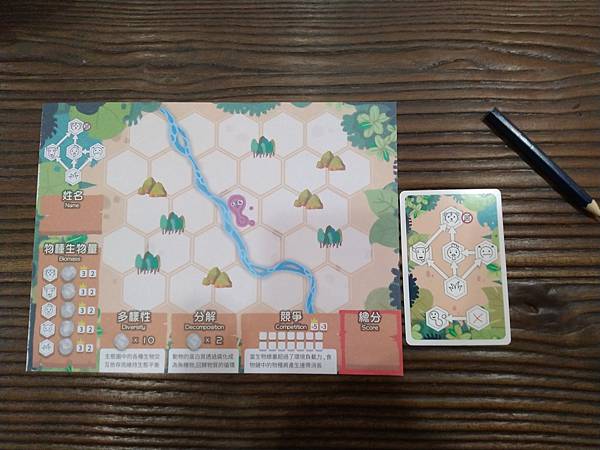 小小生態圈 ECO CIRCLE 繁體中文版 開箱及規則介紹 小小生態圈 ECO CIRCLE 繁體中文版 開箱及規則介紹