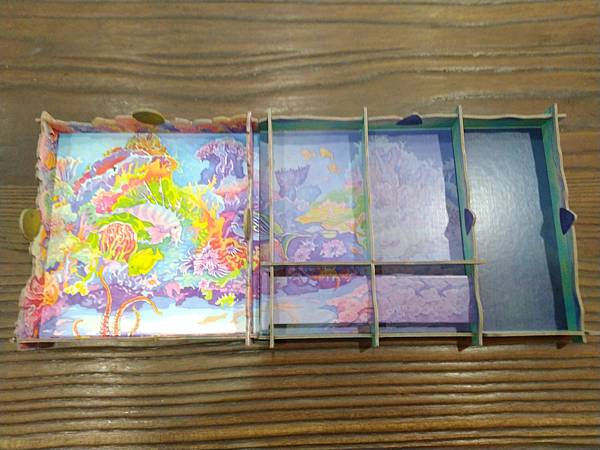 新演化論:海洋 OCEANS 繁體中文版 開箱及規則介紹 b 新演化論:海洋 OCEANS 繁體中文版 開箱及規則介紹 b