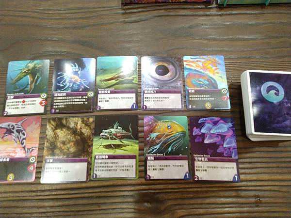 新演化論:海洋 OCEANS 繁體中文版 開箱及規則介紹 b 新演化論:海洋 OCEANS 繁體中文版 開箱及規則介紹 b