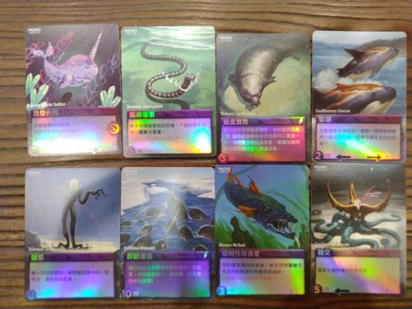 新演化論:海洋 OCEANS 繁體中文版 開箱及規則介紹 b 新演化論:海洋 OCEANS 繁體中文版 開箱及規則介紹 b