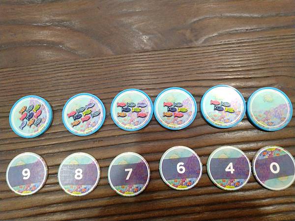 新演化論:海洋 OCEANS 繁體中文版 開箱及規則介紹 b 新演化論:海洋 OCEANS 繁體中文版 開箱及規則介紹 b