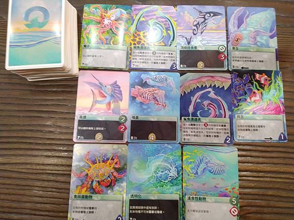 新演化論:海洋 OCEANS 繁體中文版 開箱及規則介紹 b 新演化論:海洋 OCEANS 繁體中文版 開箱及規則介紹 b