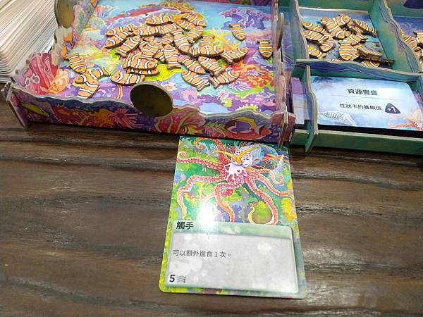 新演化論:海洋 OCEANS 繁體中文版 開箱及規則介紹 b 新演化論:海洋 OCEANS 繁體中文版 開箱及規則介紹 b