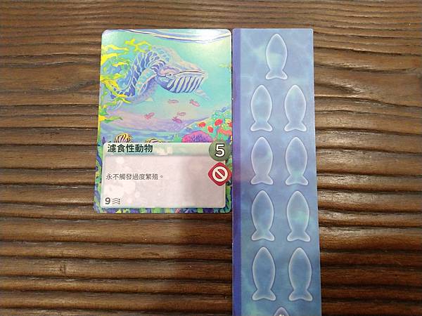 新演化論:海洋 OCEANS 繁體中文版 開箱及規則介紹 b 新演化論:海洋 OCEANS 繁體中文版 開箱及規則介紹 b