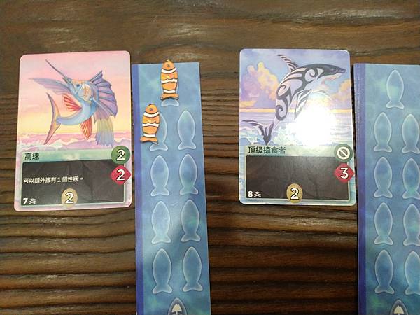 新演化論:海洋 OCEANS 繁體中文版 開箱及規則介紹 b 新演化論:海洋 OCEANS 繁體中文版 開箱及規則介紹 b