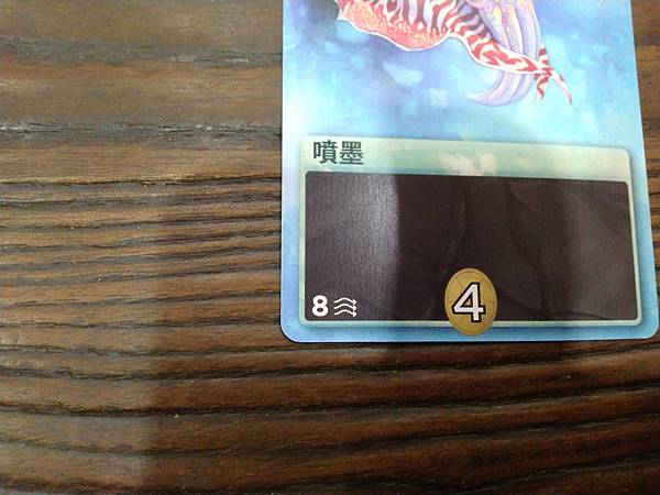 新演化論:海洋 OCEANS 繁體中文版 開箱及規則介紹 b 新演化論:海洋 OCEANS 繁體中文版 開箱及規則介紹 b