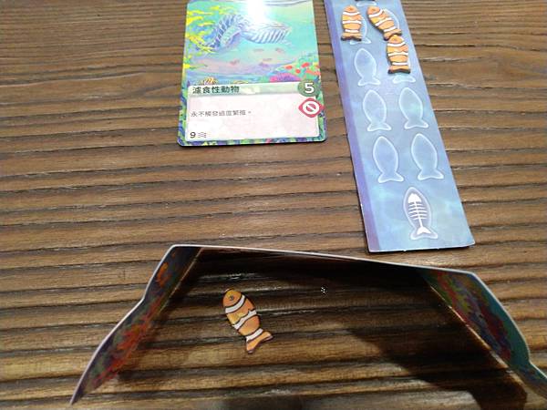 新演化論:海洋 OCEANS 繁體中文版 開箱及規則介紹 b 新演化論:海洋 OCEANS 繁體中文版 開箱及規則介紹 b