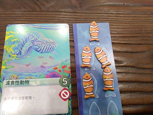 新演化論:海洋 OCEANS 繁體中文版 開箱及規則介紹 b 新演化論:海洋 OCEANS 繁體中文版 開箱及規則介紹 b