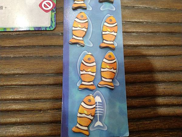 新演化論:海洋 OCEANS 繁體中文版 開箱及規則介紹 b 新演化論:海洋 OCEANS 繁體中文版 開箱及規則介紹 b