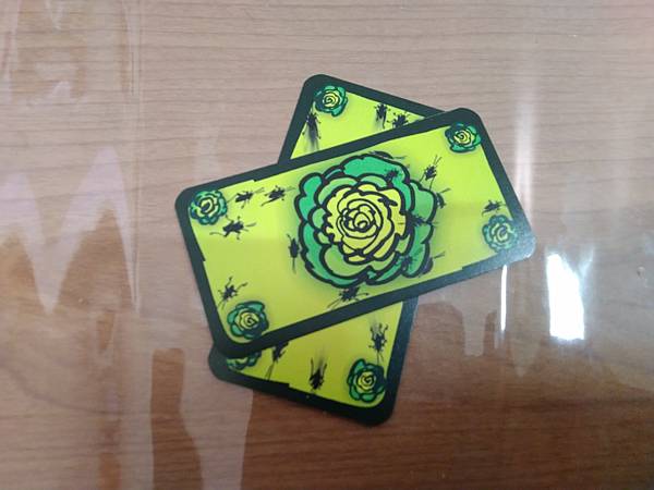 蟑螂沙拉 KAKERLAKEN SALAT 繁體中文版 開箱 蟑螂沙拉 KAKERLAKEN SALAT 繁體中文版 開箱