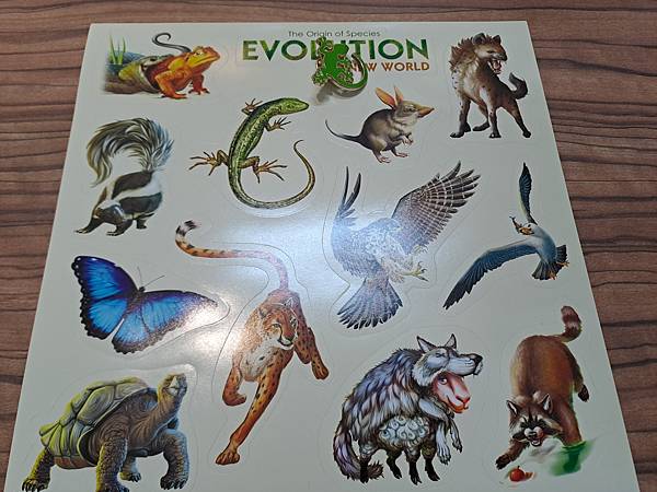 演化新世界+ KS重籌版大盒大全套 EVOLUTION NE