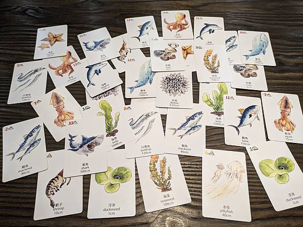 海洋大驚奇 繁體中文版 開箱及規則介紹 高雄龐奇桌遊 中興文 海洋大驚奇 繁體中文版 開箱及規則介紹 高雄龐奇桌遊 中興文