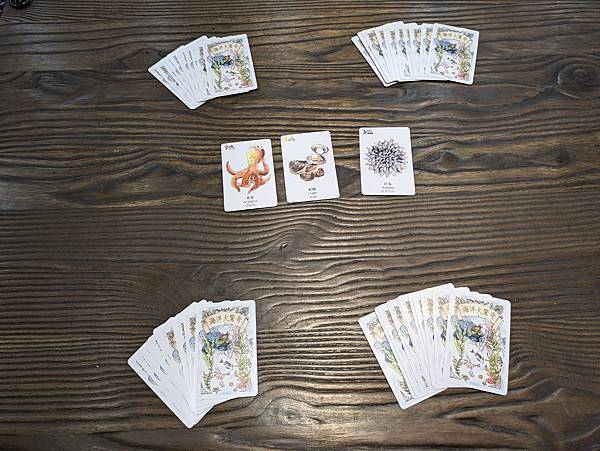 海洋大驚奇 繁體中文版 開箱及規則介紹 高雄龐奇桌遊 中興文 海洋大驚奇 繁體中文版 開箱及規則介紹 高雄龐奇桌遊 中興文