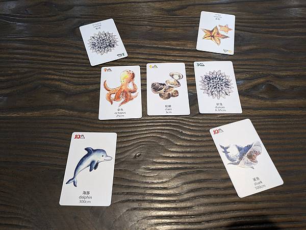 海洋大驚奇 繁體中文版 開箱及規則介紹 高雄龐奇桌遊 中興文 海洋大驚奇 繁體中文版 開箱及規則介紹 高雄龐奇桌遊 中興文