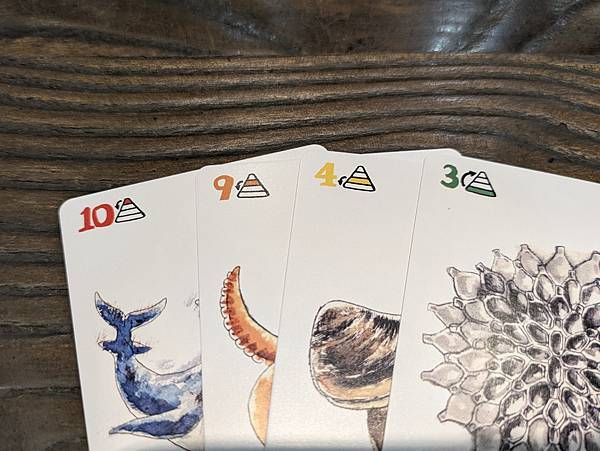 海洋大驚奇 繁體中文版 開箱及規則介紹 高雄龐奇桌遊 中興文 海洋大驚奇 繁體中文版 開箱及規則介紹 高雄龐奇桌遊 中興文