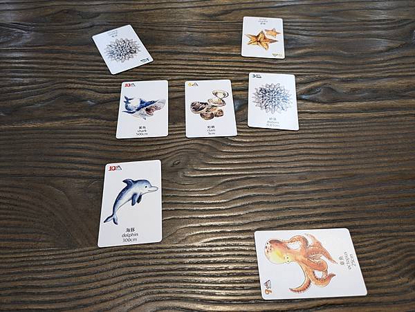 海洋大驚奇 繁體中文版 開箱及規則介紹 高雄龐奇桌遊 中興文 海洋大驚奇 繁體中文版 開箱及規則介紹 高雄龐奇桌遊 中興文