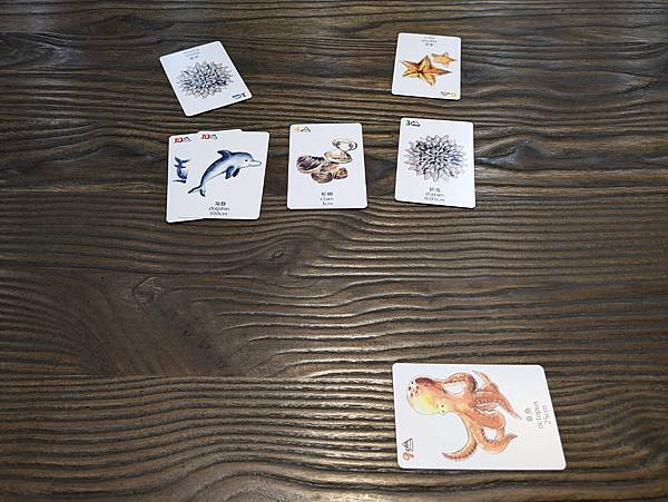 海洋大驚奇 繁體中文版 開箱及規則介紹 高雄龐奇桌遊 中興文 海洋大驚奇 繁體中文版 開箱及規則介紹 高雄龐奇桌遊 中興文