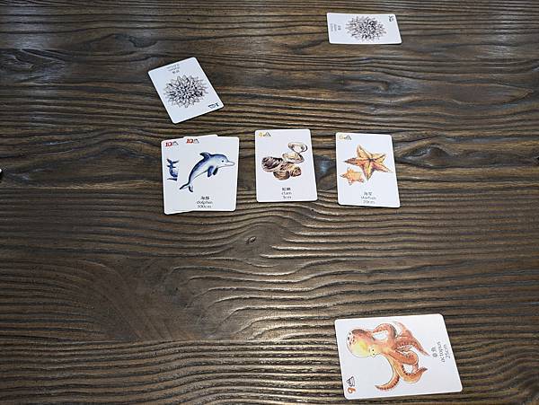 海洋大驚奇 繁體中文版 開箱及規則介紹 高雄龐奇桌遊 中興文 海洋大驚奇 繁體中文版 開箱及規則介紹 高雄龐奇桌遊 中興文