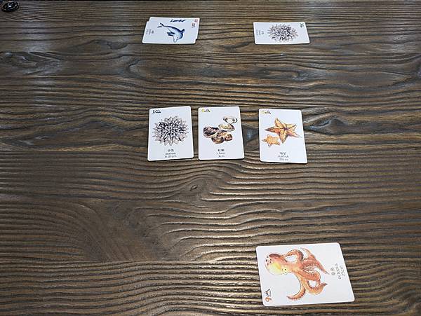 海洋大驚奇 繁體中文版 開箱及規則介紹 高雄龐奇桌遊 中興文 海洋大驚奇 繁體中文版 開箱及規則介紹 高雄龐奇桌遊 中興文