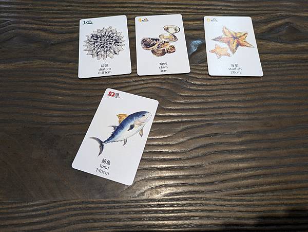 海洋大驚奇 繁體中文版 開箱及規則介紹 高雄龐奇桌遊 中興文 海洋大驚奇 繁體中文版 開箱及規則介紹 高雄龐奇桌遊 中興文