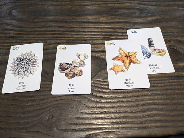 海洋大驚奇 繁體中文版 開箱及規則介紹 高雄龐奇桌遊 中興文 海洋大驚奇 繁體中文版 開箱及規則介紹 高雄龐奇桌遊 中興文