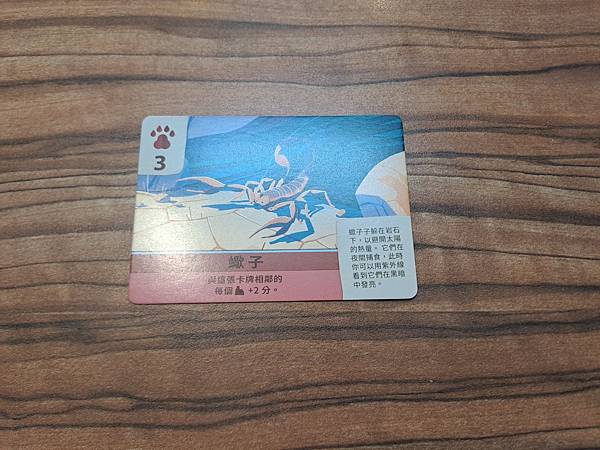 死亡谷 Death Valley 錢包系列桌遊 繁體中文版 死亡谷 Death Valley 錢包系列桌遊 繁體中文版