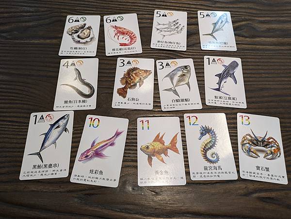 海鮮大驚奇 繁體中文版 開箱及規則介紹 高雄龐奇桌遊 星空多