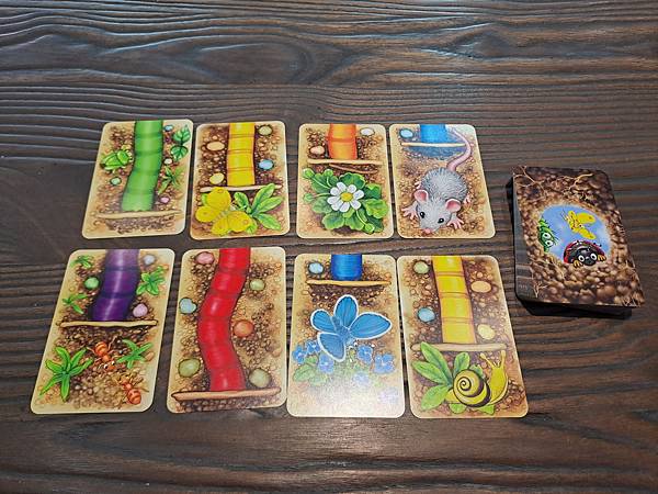 蟲蟲伸展秀 DA IST DER WURM DRIN  繁體