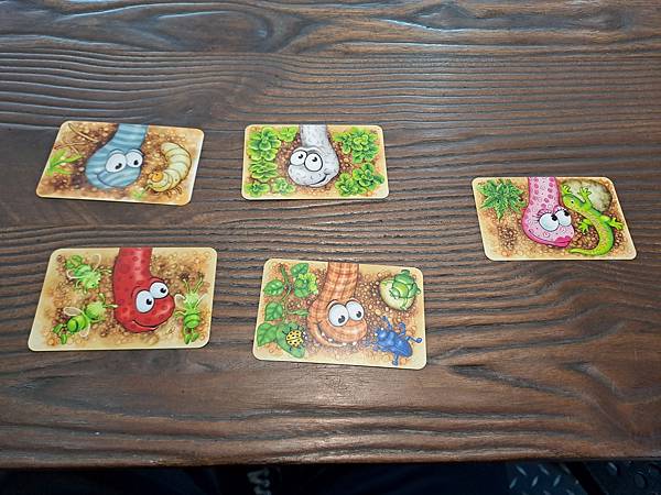 蟲蟲伸展秀 DA IST DER WURM DRIN  繁體