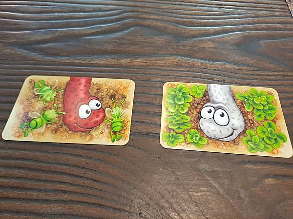 蟲蟲伸展秀 DA IST DER WURM DRIN  繁體