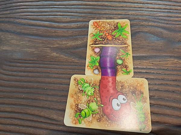 蟲蟲伸展秀 DA IST DER WURM DRIN  繁體