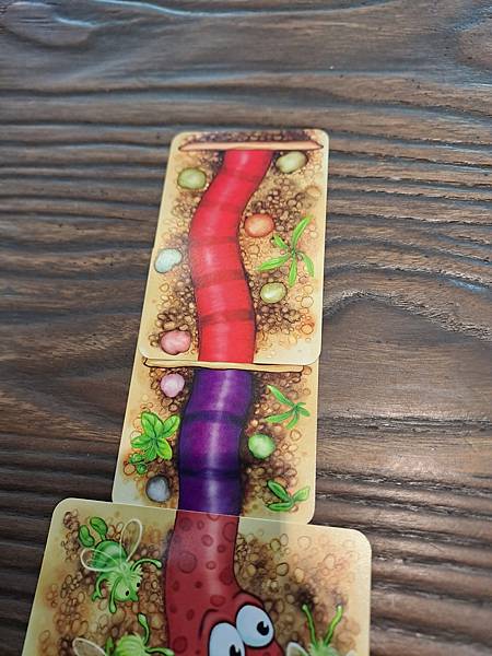 蟲蟲伸展秀 DA IST DER WURM DRIN  繁體