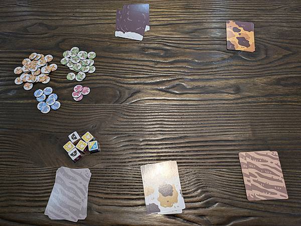 雷射喵喵 LASER TEASER 繁體中文版 開箱及規則介