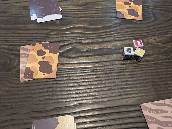 雷射喵喵 LASER TEASER 繁體中文版 開箱及規則介