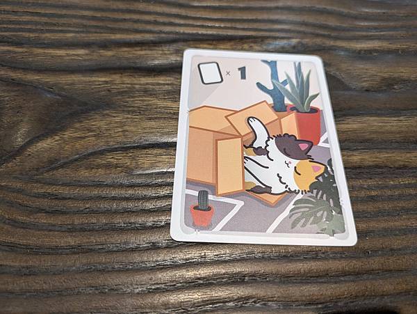 雷射喵喵 LASER TEASER 繁體中文版 開箱及規則介