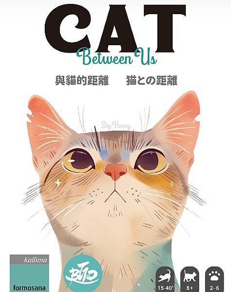 與貓的距離 Between Us 繁體中文版 開箱及規則介紹